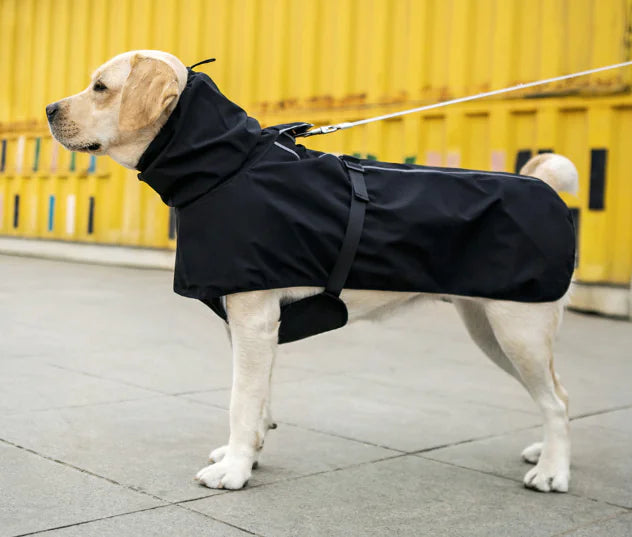 Cold-Proof Cotton Undershirt for Outdoor Dogs